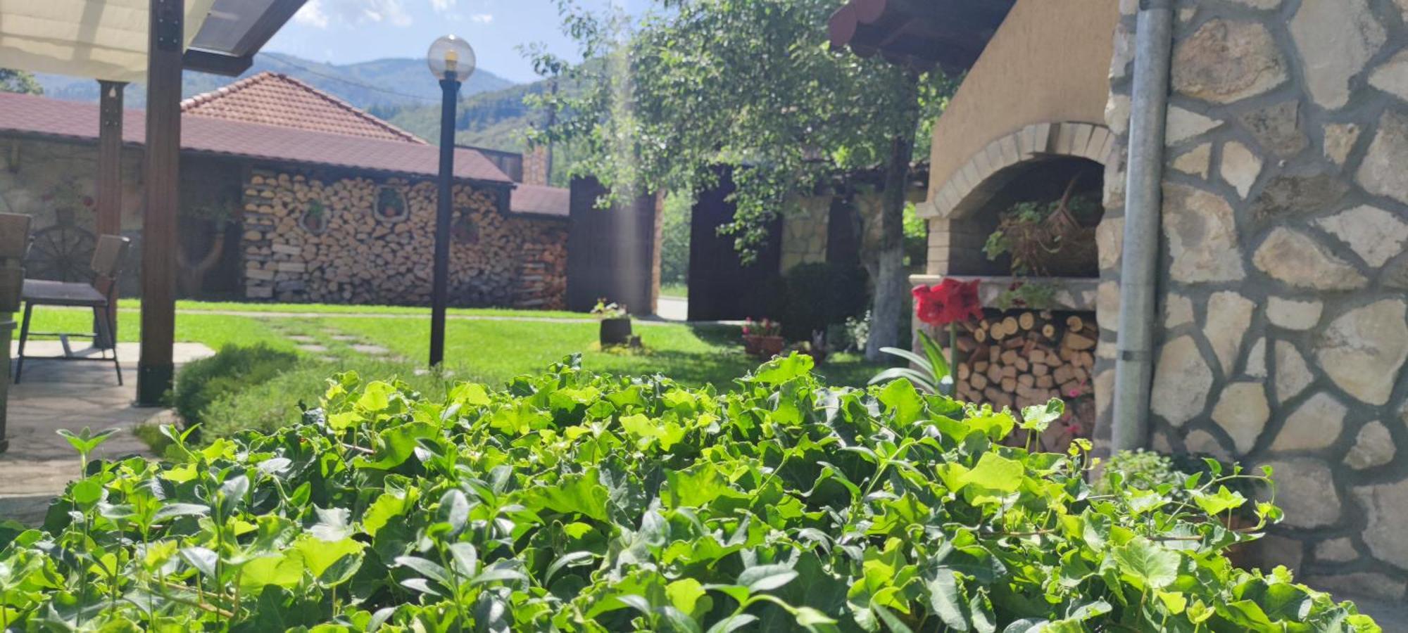 Стар Мерак Hotel Ribarica Ngoại thất bức ảnh